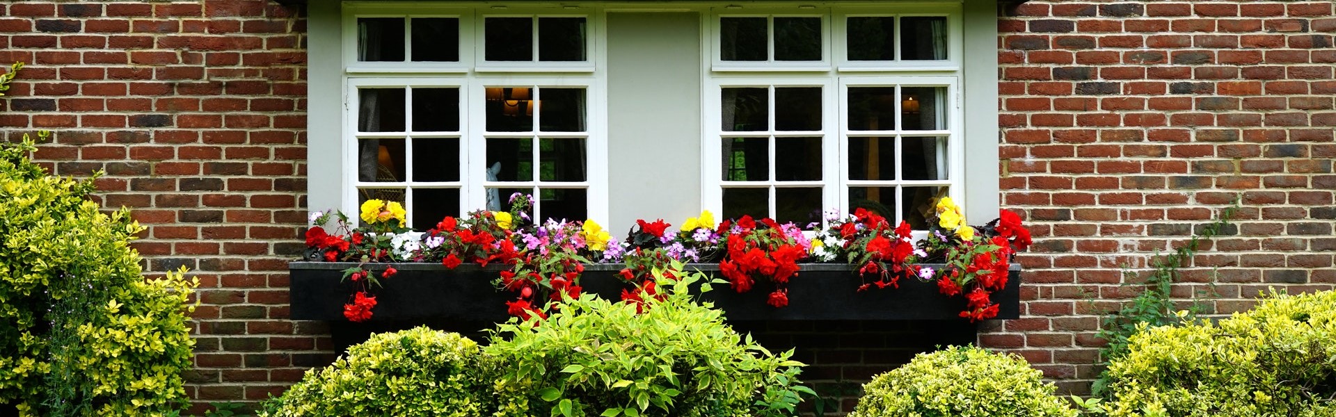 home windows with flowers