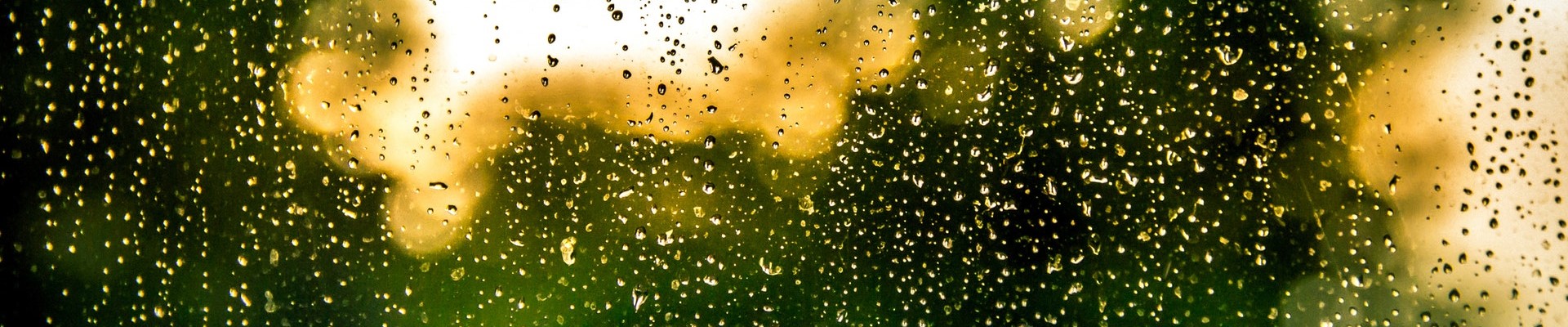 rain/water droplets collects on a window