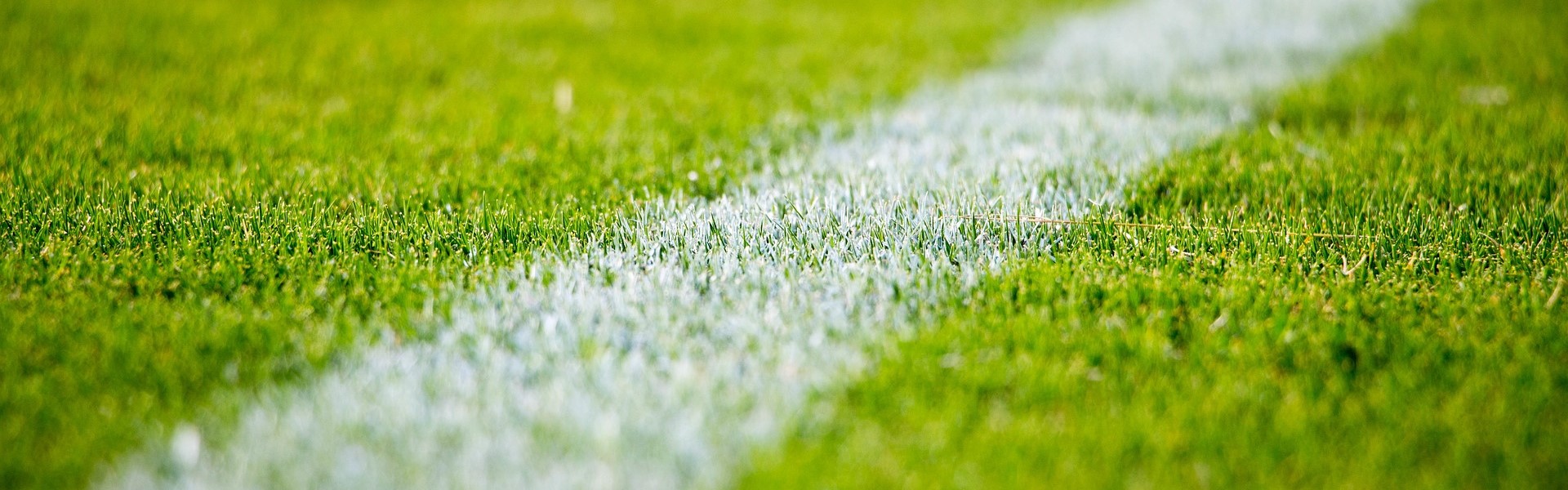 soccer ball on grassy field