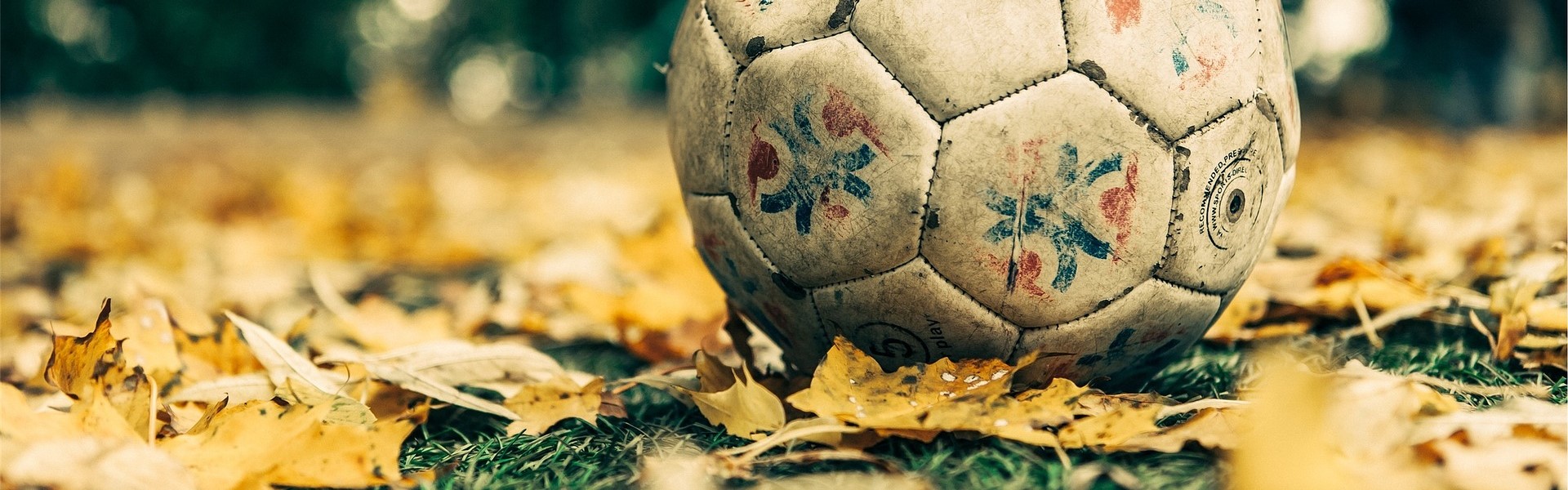soccer ball around fall leaves